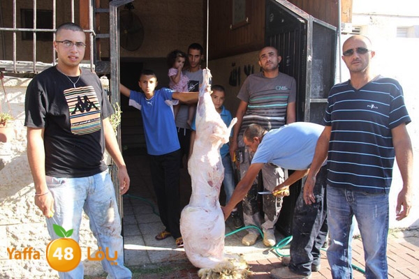 dabe7 ludj31 (9).JPG